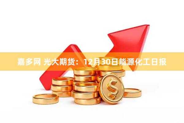 嘉多网 光大期货：12月30日能源化工日报