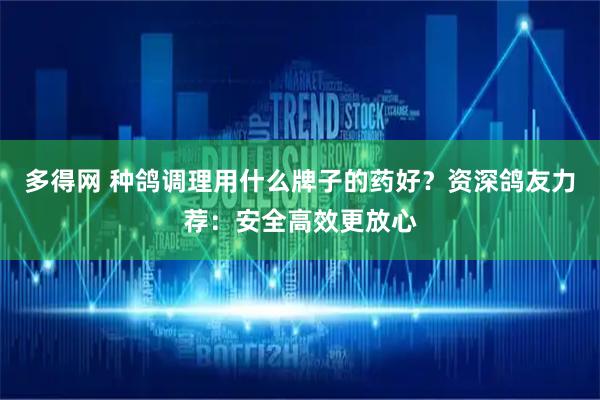 多得网 种鸽调理用什么牌子的药好？资深鸽友力荐：安全高效更放心